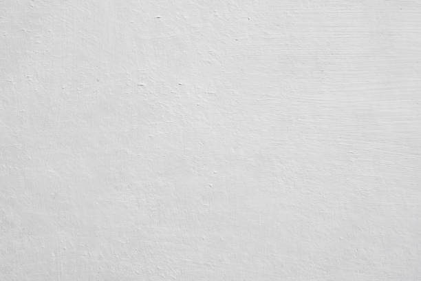 Best Commercial Mold Inspection  in Barbourmeade, KY