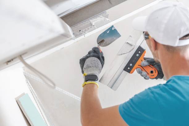 Mold Remediation for Vacation Homes in Barbourmeade, KY
